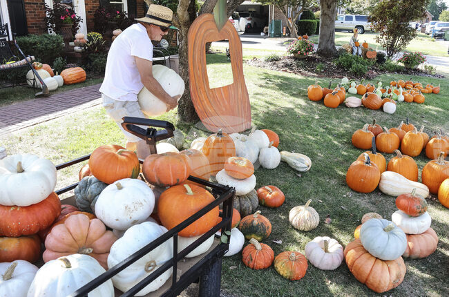 Kentucky Pumpkin Sale