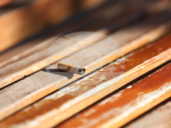 Столична община - акция за почистване от фасове