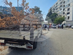 Стара Загора - почистване - Красиви квартали - "Самара 3"