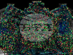 Българско видеомапинг шоу беше отличено със сребърна награда във водещ международен конкурс за светлинно изкуство в Шанхай 