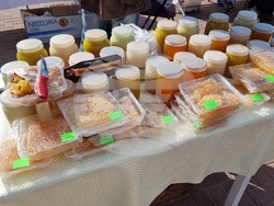 Молдова - Тараклия - Илияна Йотова - етнофестивал - откриване