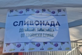 Троян - Български фестивал на сливата - ден втори