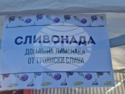 Троян - Български фестивал на сливата - ден втори