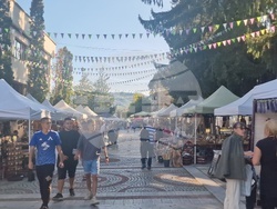 Троян - Български фестивал на сливата - ден втори