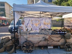 Троян - Български фестивал на сливата - ден втори