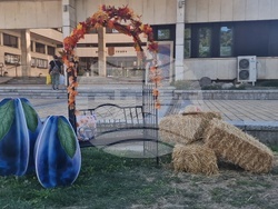 Троян - Български фестивал на сливата - ден втори