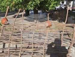 Троян - Български фестивал на сливата - ден втори