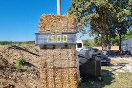 Добрич - мотокрос