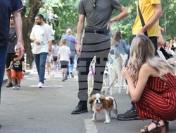 Район „Оборище“ - Инициатива "Голямата маса"