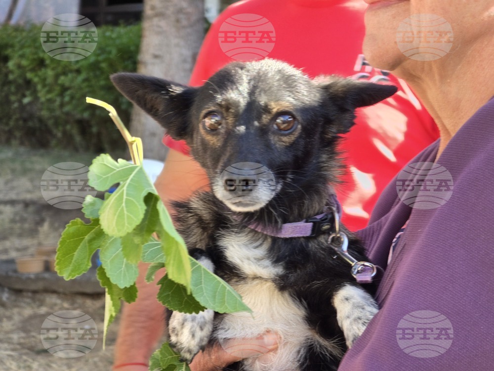 Угърчин - Трюфел фест