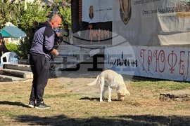 Угърчин - Трюфел фест