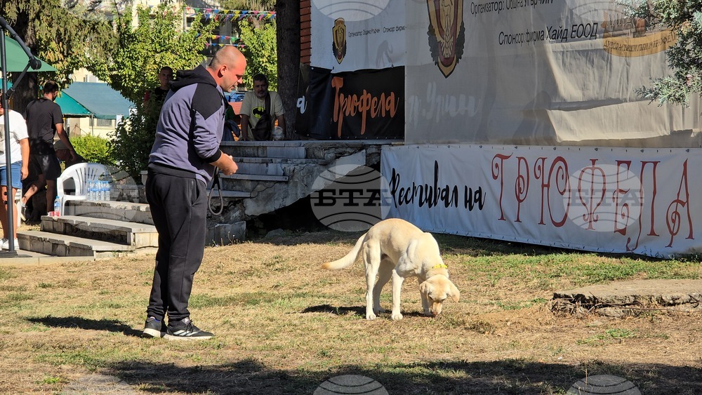 Угърчин - Трюфел фест