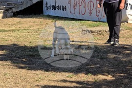 Угърчин - Трюфел фест