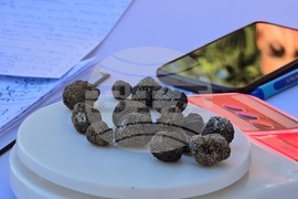 Угърчин - Трюфел фест