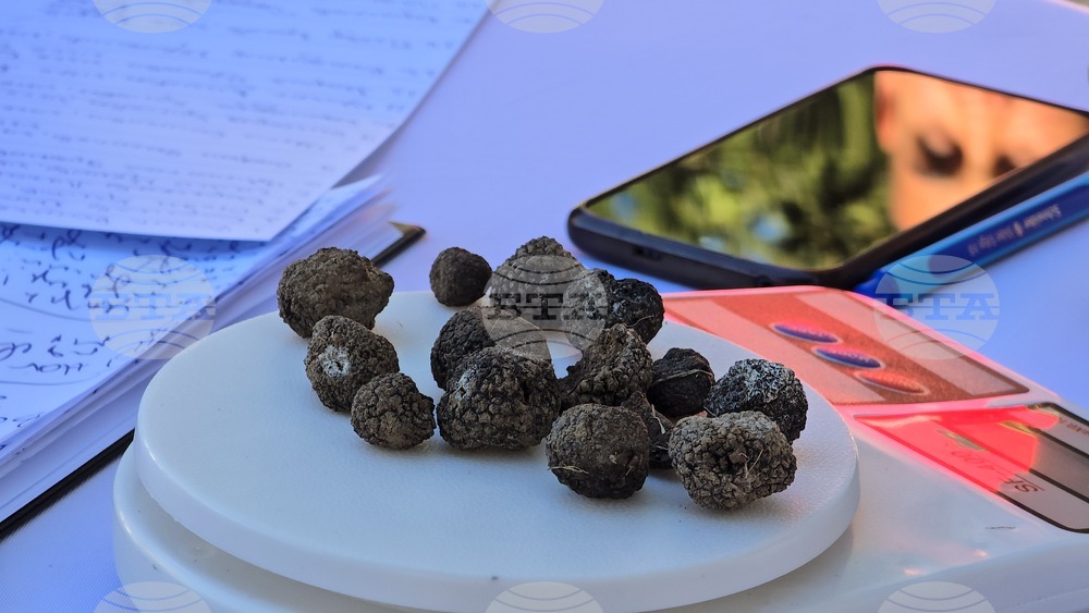 Угърчин - Трюфел фест