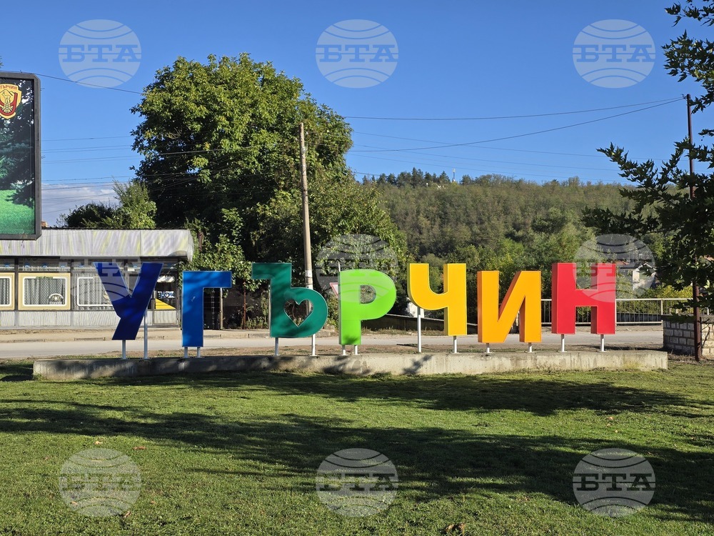 Угърчин - Трюфел фест