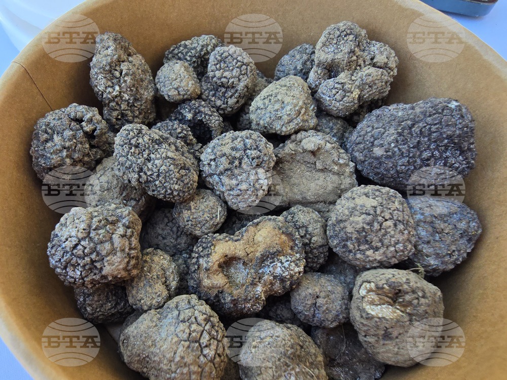 Угърчин - Трюфел фест