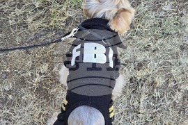 Угърчин - Трюфел фест