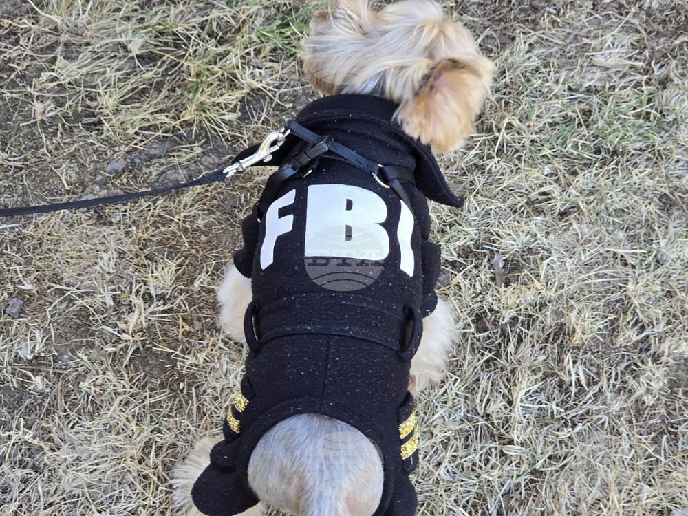 Угърчин - Трюфел фест