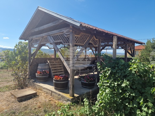 Hotul Bunar: Two Decades of Organic Viticulture Backed by Local Commitment
