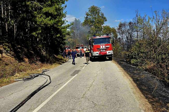 Шест екипа на пожарната гасят пожар в землището между асеновградските села Горнослав и Долнослав