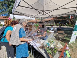 Село Орешак - Български фестивал на сливата 2025 - ден втори