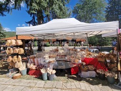 Село Орешак - Български фестивал на сливата 2025 - ден втори