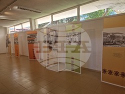 Село Орешак - Български фестивал на сливата 2025 - ден втори