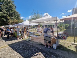 Село Орешак - Български фестивал на сливата 2025 - ден втори