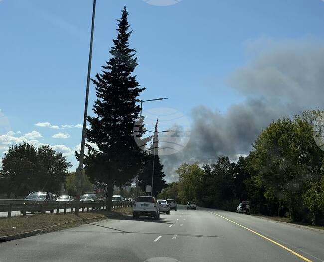 Общо 75 пожара са били потушени в страната през последното денонощие, няма пострадали хора