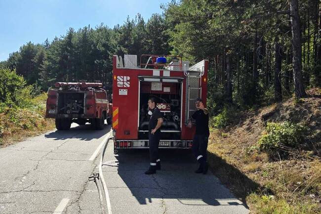 Затворен за движение е пътят от асеновградското село Горнослав към Добростан, пожарът в района се разраства