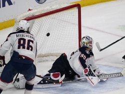 Blue Jackets Wild Hockey