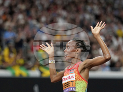 Japan Athletics Worlds