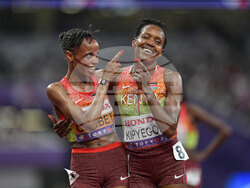 Japan Athletics Worlds