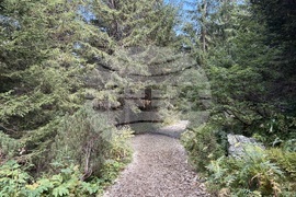 Хижа “Мальовица” - туризъм