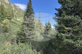 Хижа “Мальовица” - туризъм