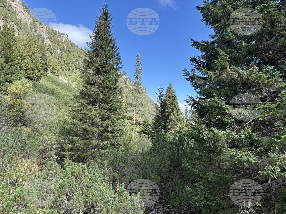 Състоя се 78-ият поход на алпийския клуб „Bulgarischer Alpenclub“