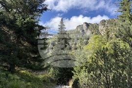 Хижа “Мальовица” - туризъм