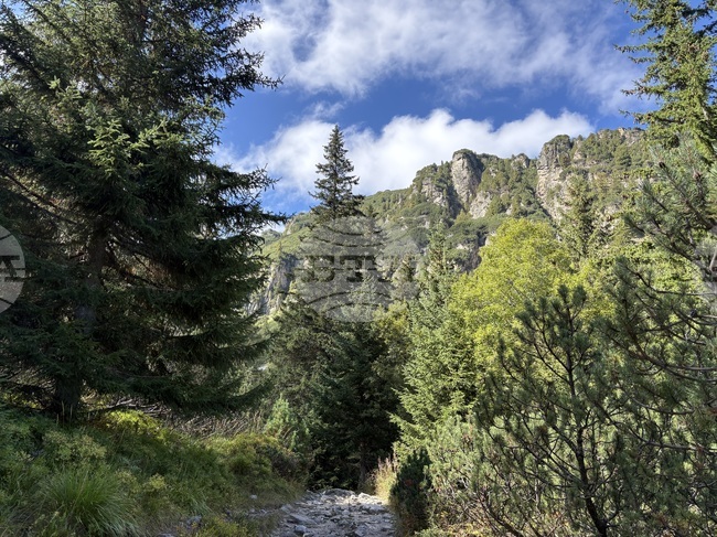 Авариралият самолет край Бъндеришка поляна е изнесен от района, няма нанесени щети върху природата 