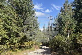 Хижа “Мальовица” - туризъм