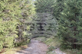 Хижа “Мальовица” - туризъм