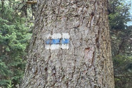 Хижа “Мальовица” - туризъм