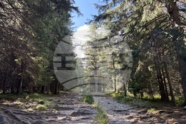 Хижа “Мальовица” - туризъм