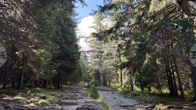 Добри са условията за туризъм в планините, казаха от Планинската спасителна служба на БЧК