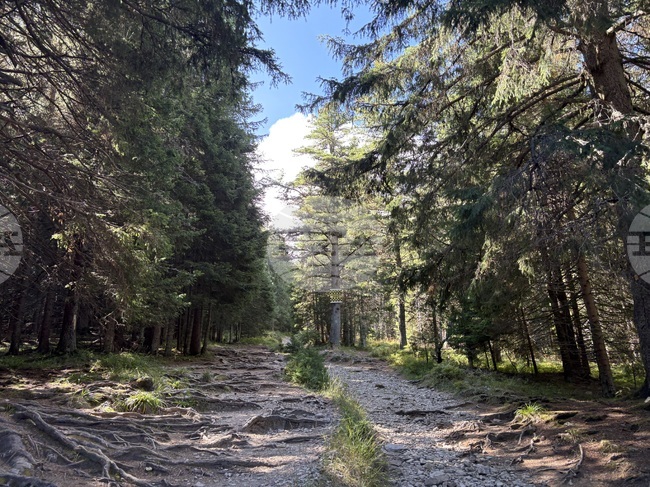 Добри са условията за туризъм в планините, казаха от Планинската спасителна служба на БЧК