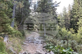 Хижа “Мальовица” - туризъм