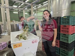 Село Селановци – Винарна „Ахинора“