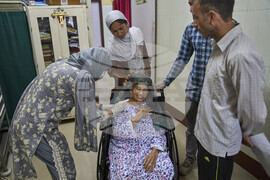 India Kashmir Stray Dogs Photo Gallery