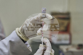 India Kashmir Stray Dogs Photo Gallery