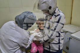 India Kashmir Stray Dogs Photo Gallery